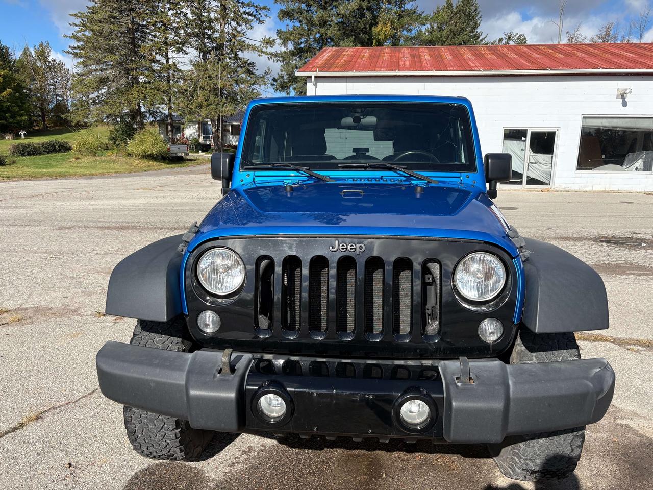 2015 Jeep Wrangler Willys Wheeler Photo