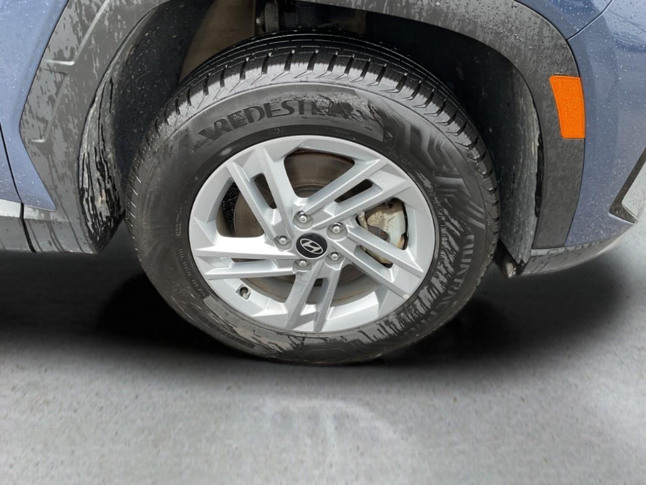 2025 Hyundai Tucson  Photo