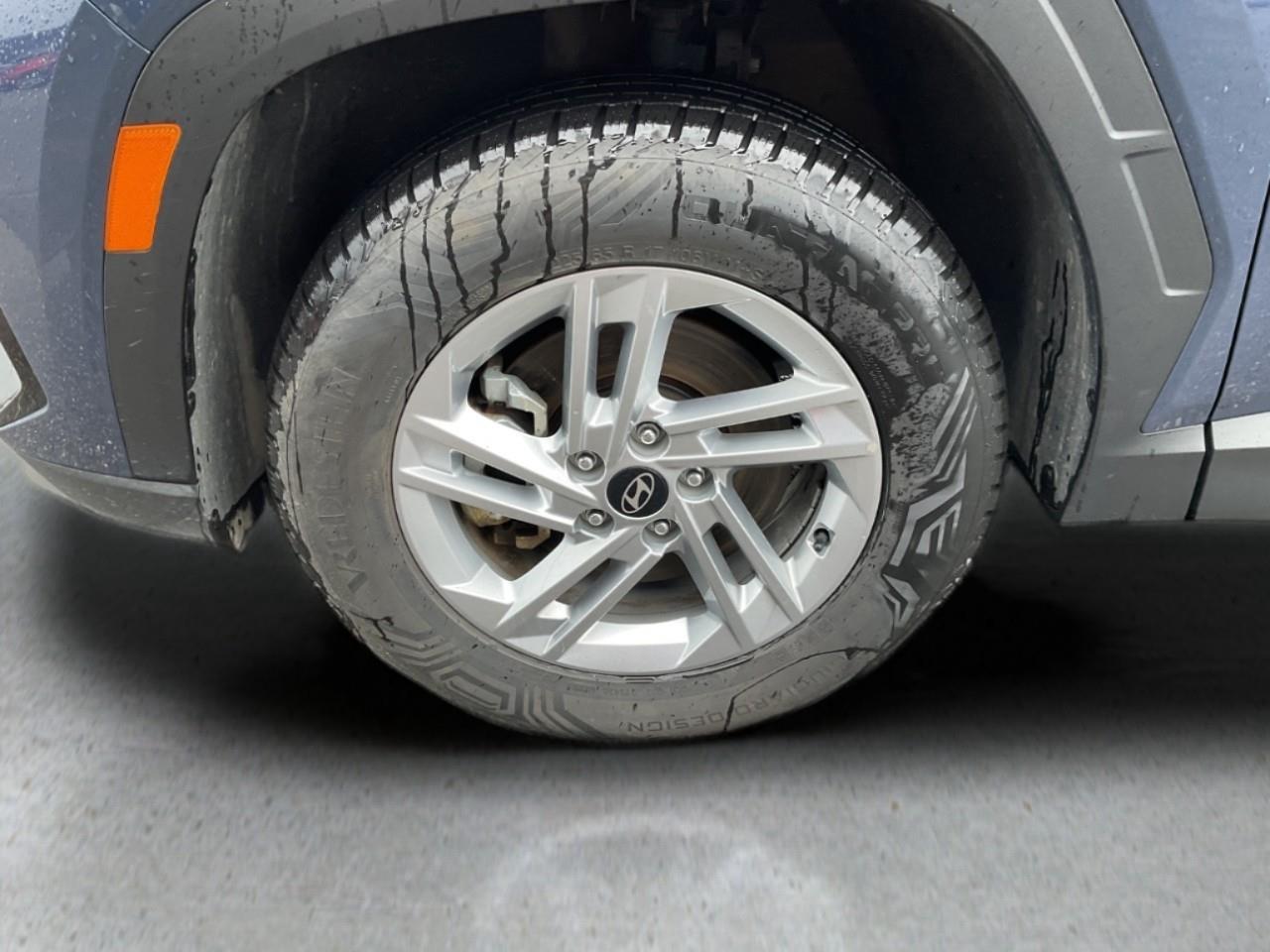 2025 Hyundai Tucson  Photo