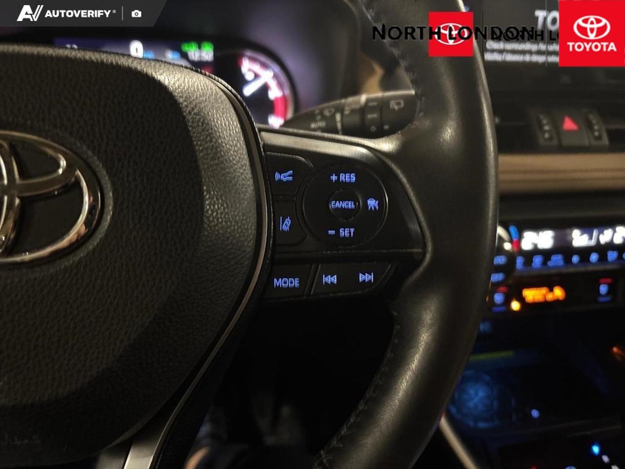 2019 Toyota RAV4 Limited 4dr All-wheel Drive Photo
