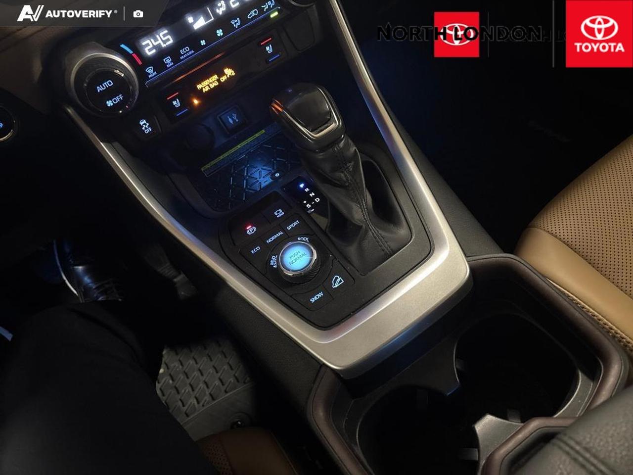 2019 Toyota RAV4 Limited 4dr All-wheel Drive Photo