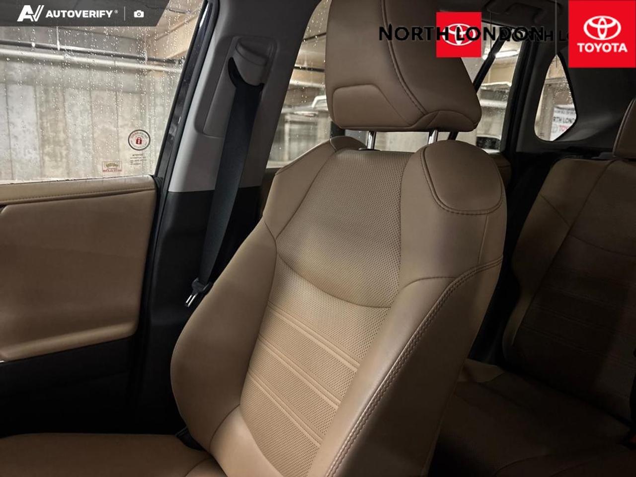 2019 Toyota RAV4 Limited 4dr All-wheel Drive Photo