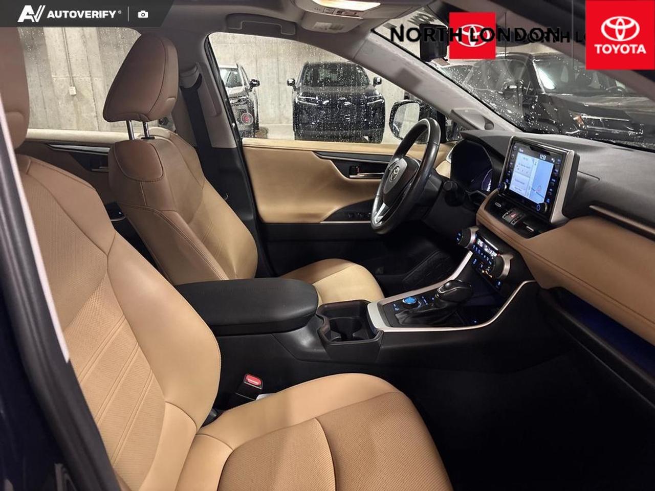 2019 Toyota RAV4 Limited 4dr All-wheel Drive Photo