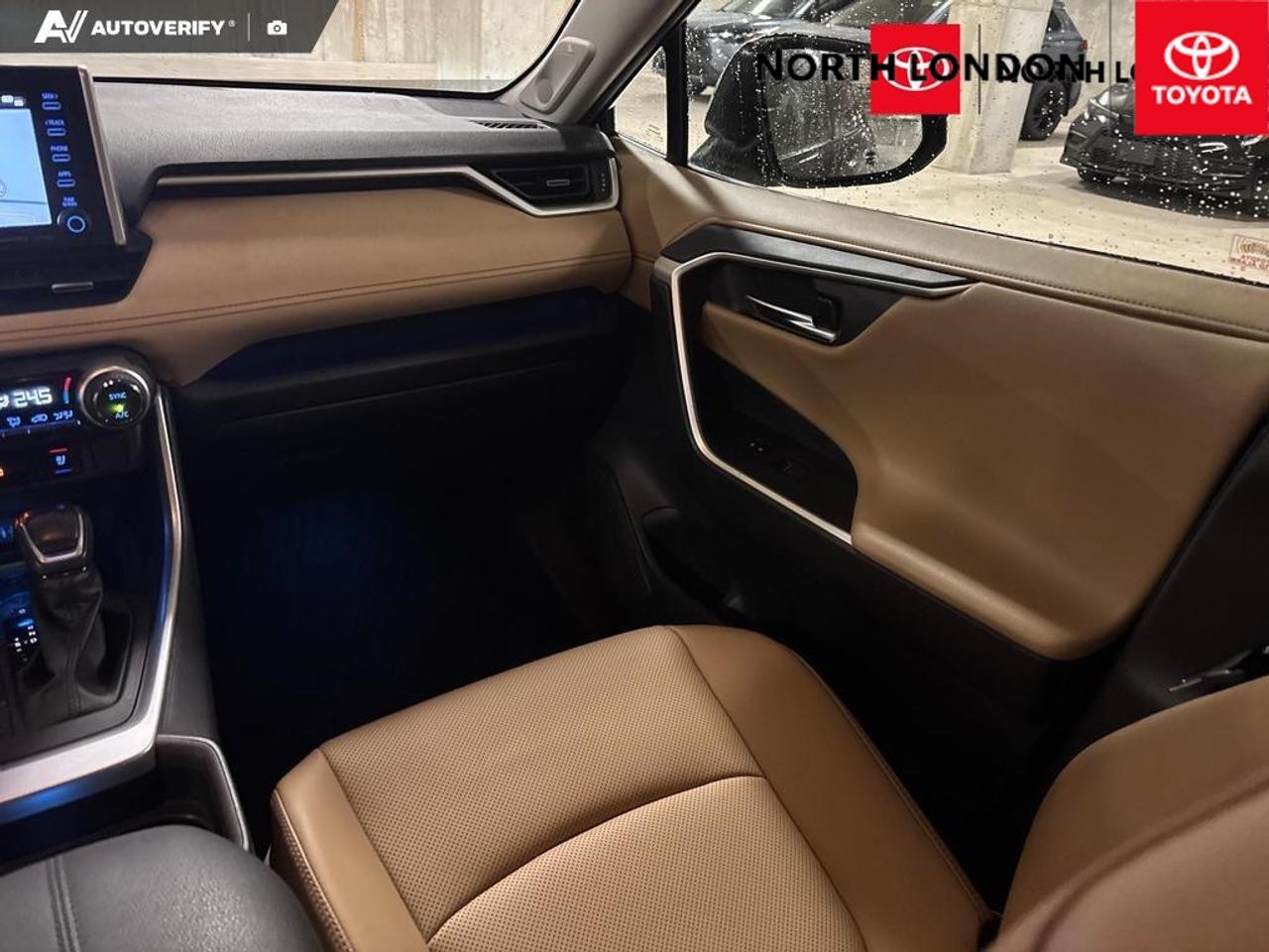 2019 Toyota RAV4 Limited 4dr All-wheel Drive Photo