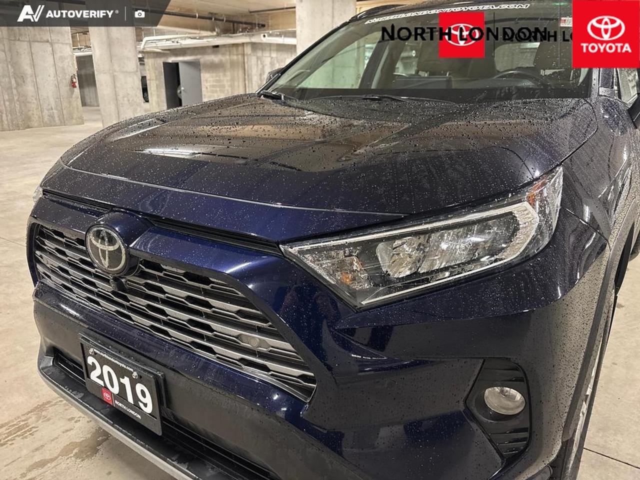 2019 Toyota RAV4 Limited 4dr All-wheel Drive Photo