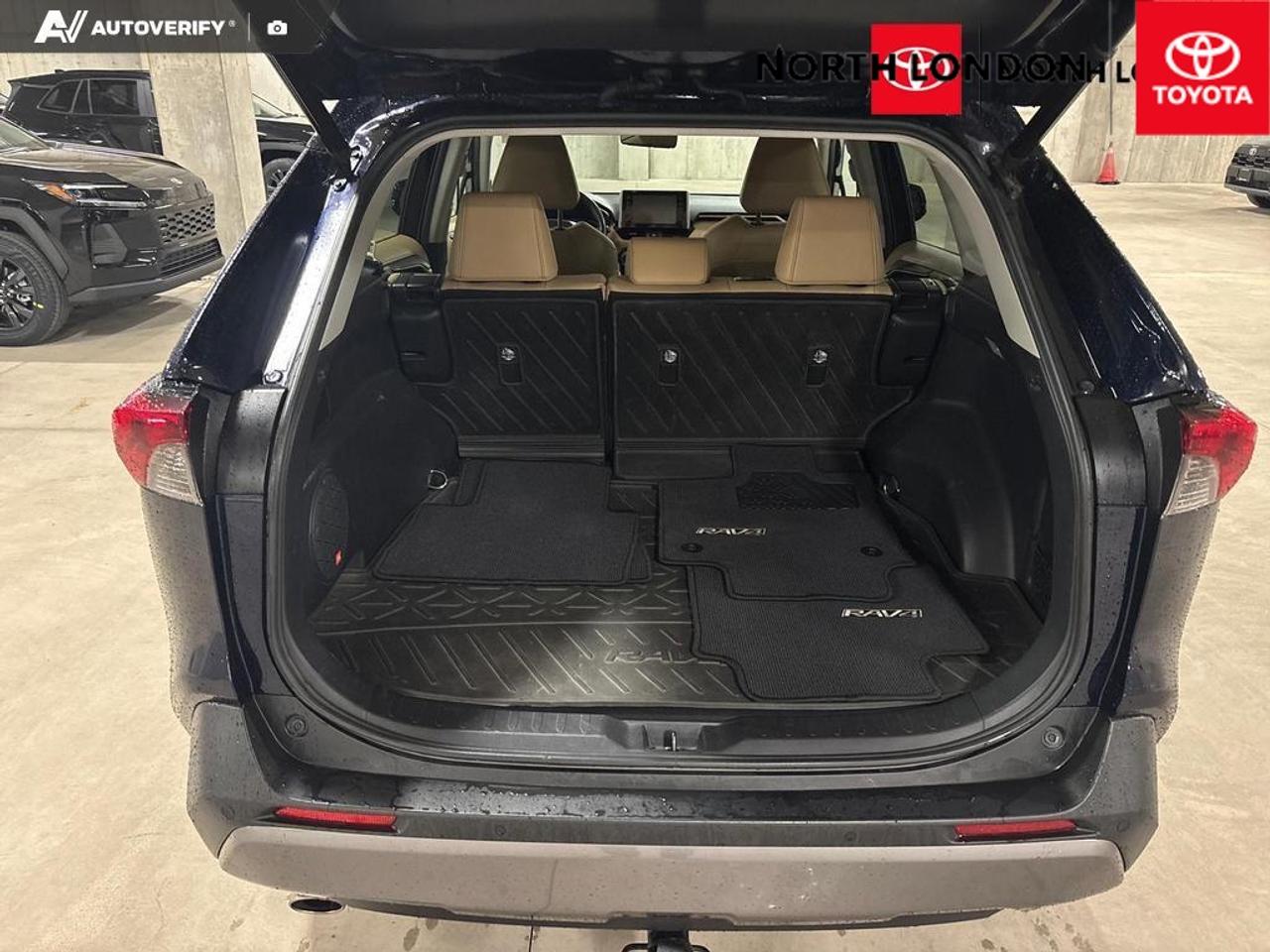 2019 Toyota RAV4 Limited 4dr All-wheel Drive Photo