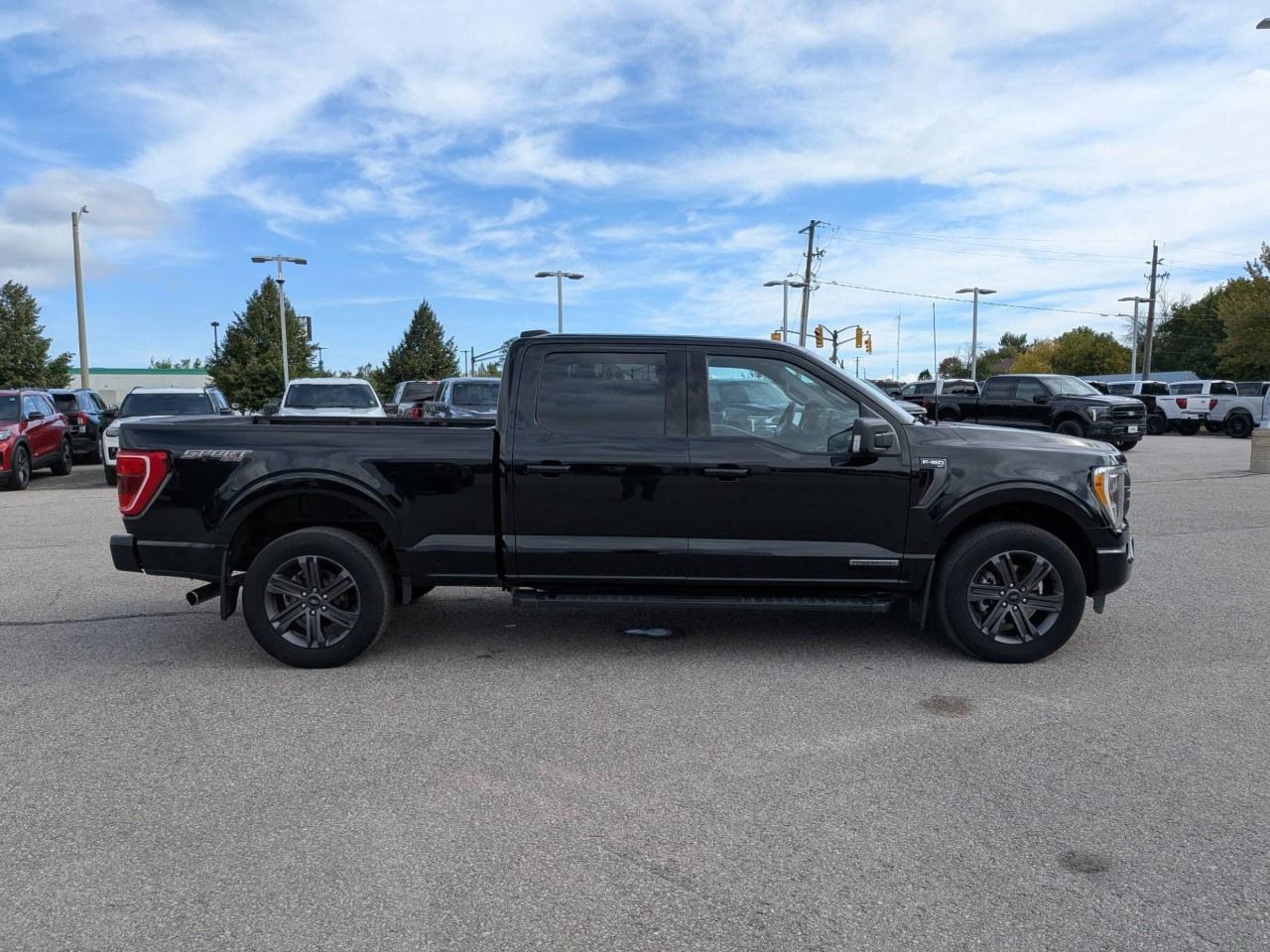 2023 Ford F-150  Photo3