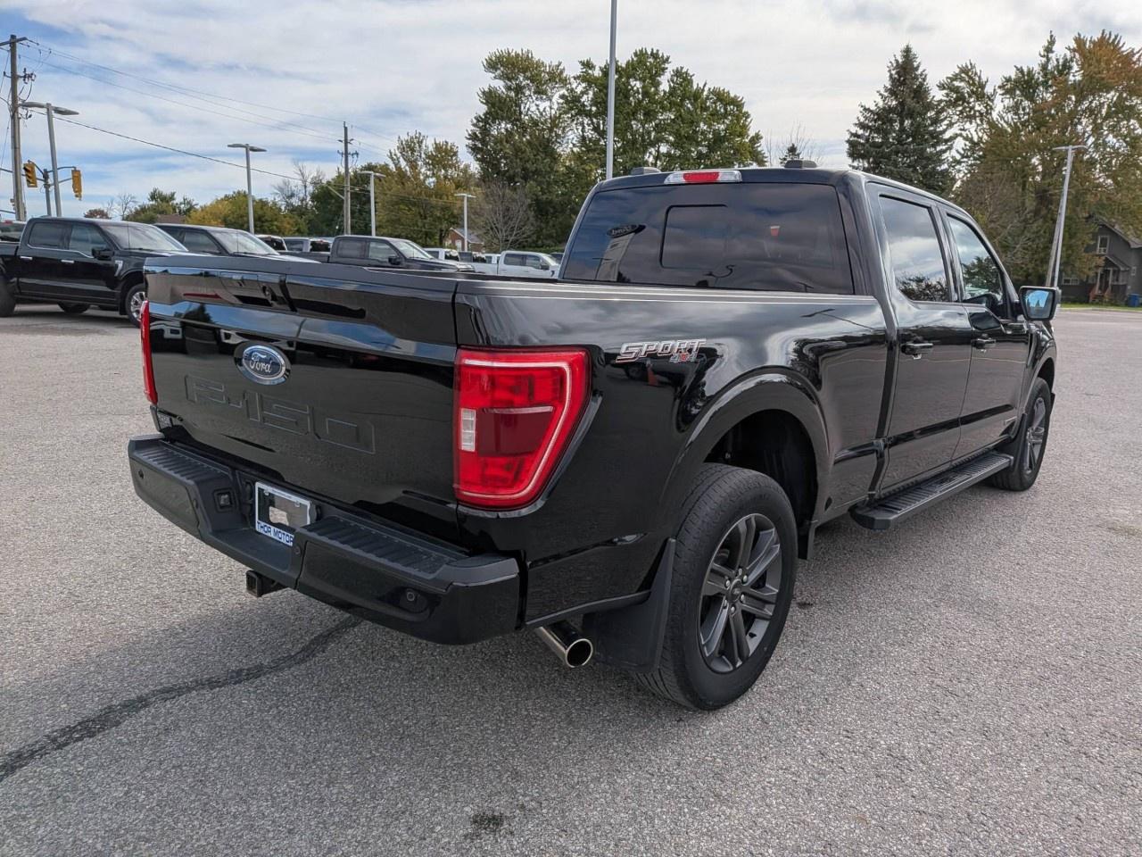 2023 Ford F-150  Photo4