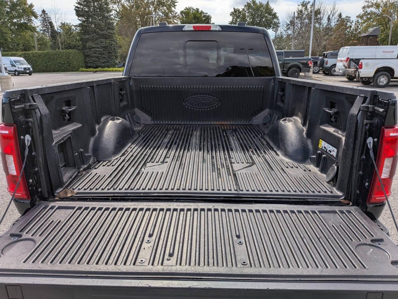 2023 Ford F-150  Photo