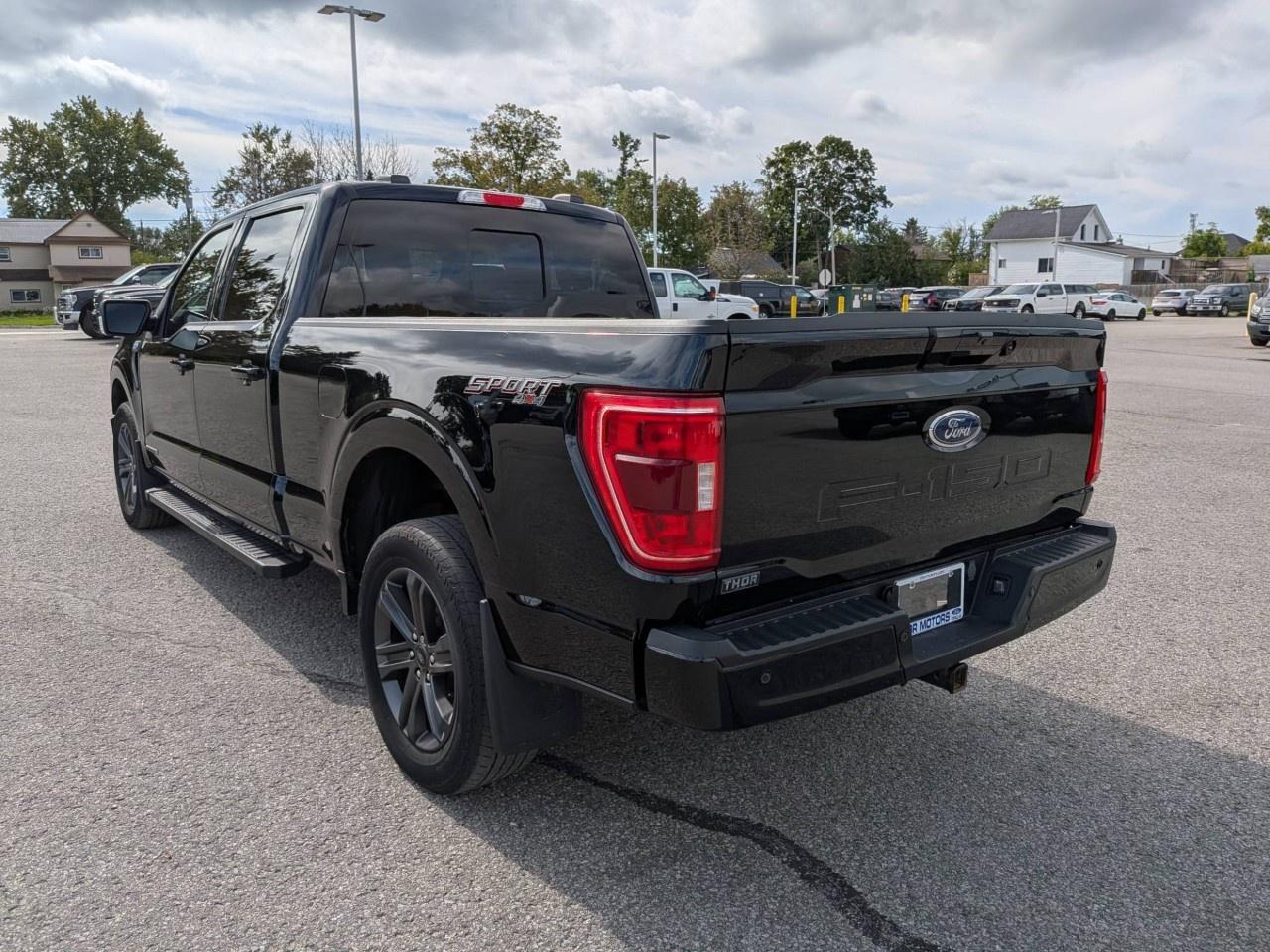 2023 Ford F-150  Photo