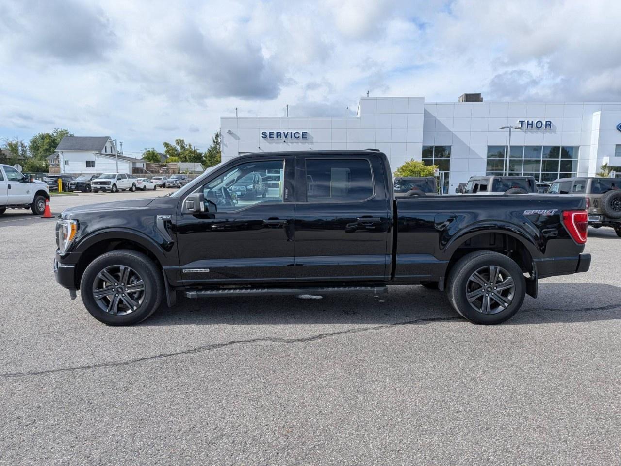 2023 Ford F-150  Photo