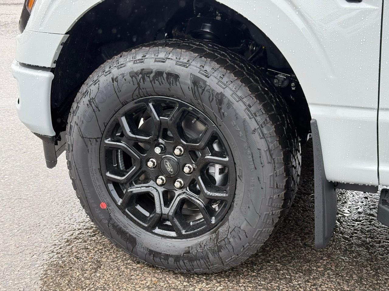 2026 Ford F-150 XLT 4WD SuperCrew 5.5' Box Photo