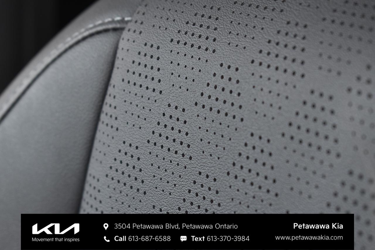 2023 Kia Seltos EX 4dr All-Wheel Drive Photo