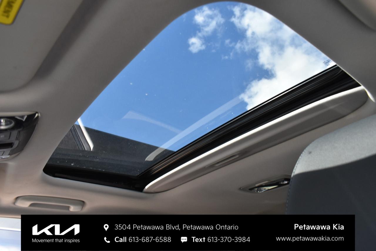 2023 Kia Seltos EX 4dr All-Wheel Drive Photo