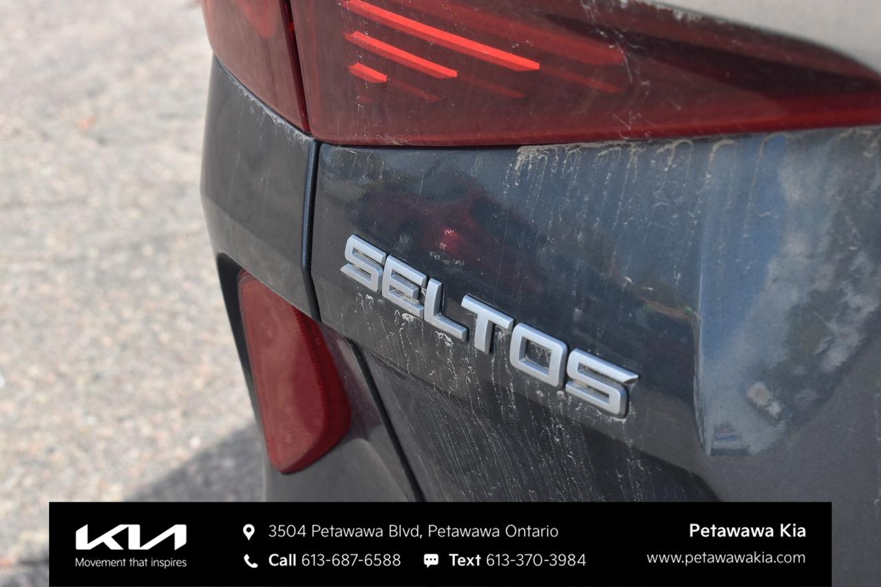 2023 Kia Seltos EX 4dr All-Wheel Drive Photo
