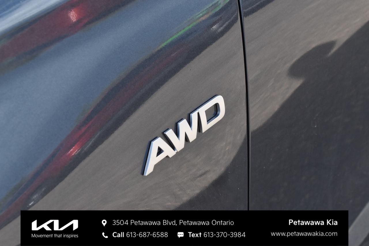 2023 Kia Seltos EX 4dr All-Wheel Drive Photo