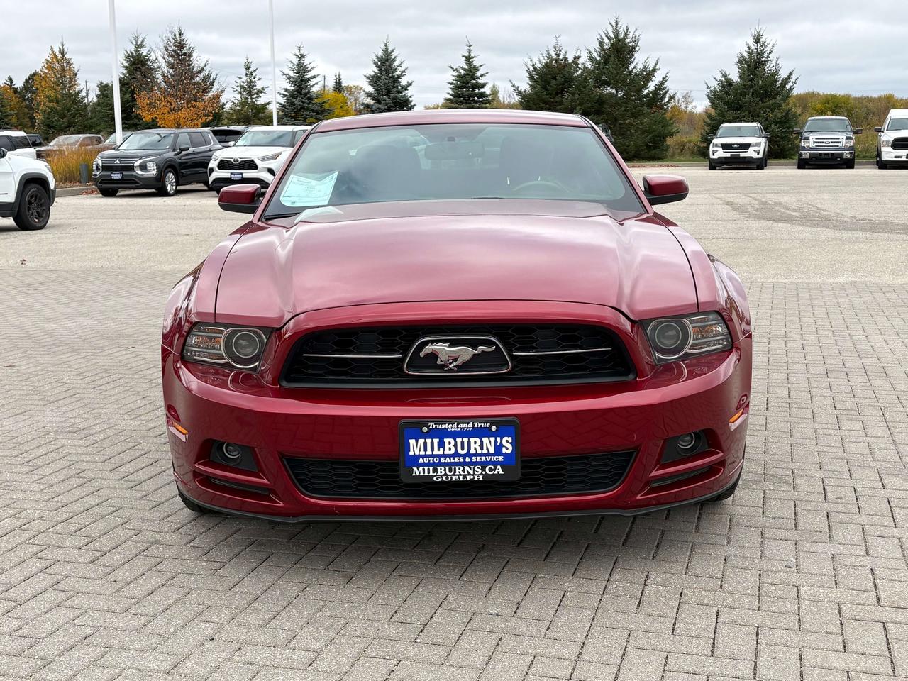 2014 Ford Mustang V6 Premium   Heated Seats   Bluetooth Photo5