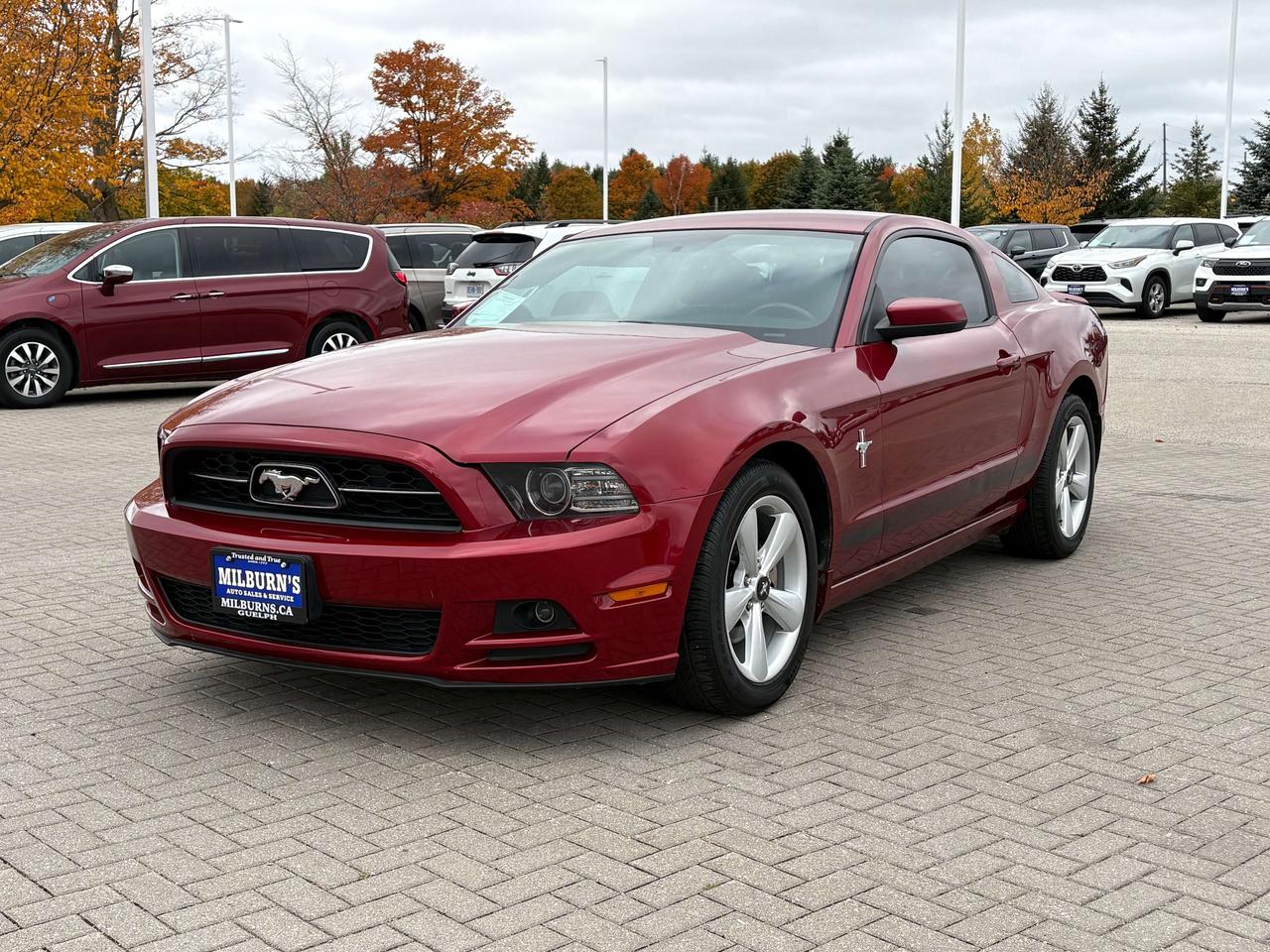 2014 Ford Mustang V6 Premium   Heated Seats   Bluetooth Photo