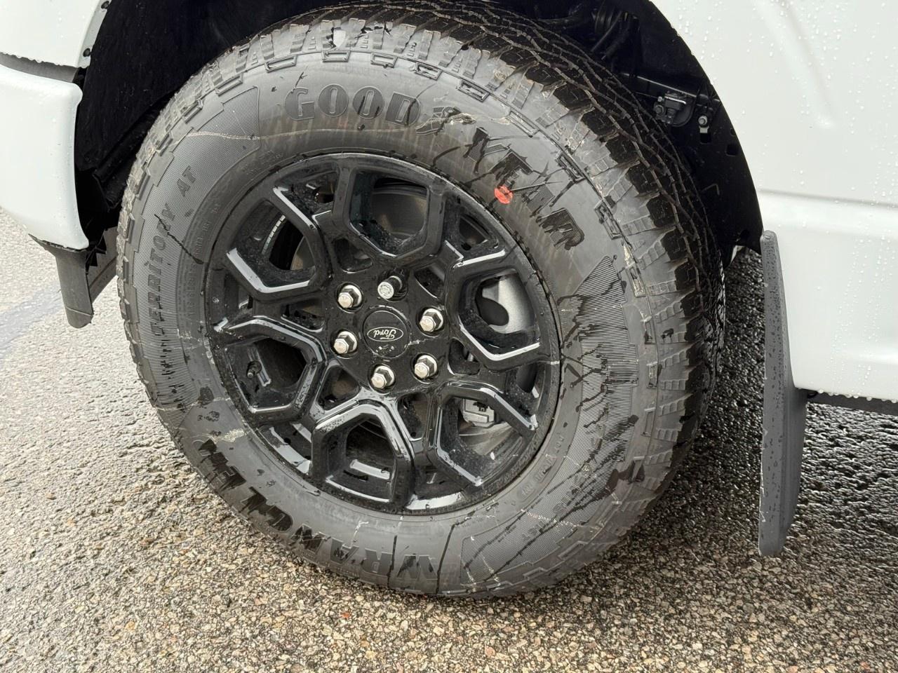 2026 Ford F-150  Photo