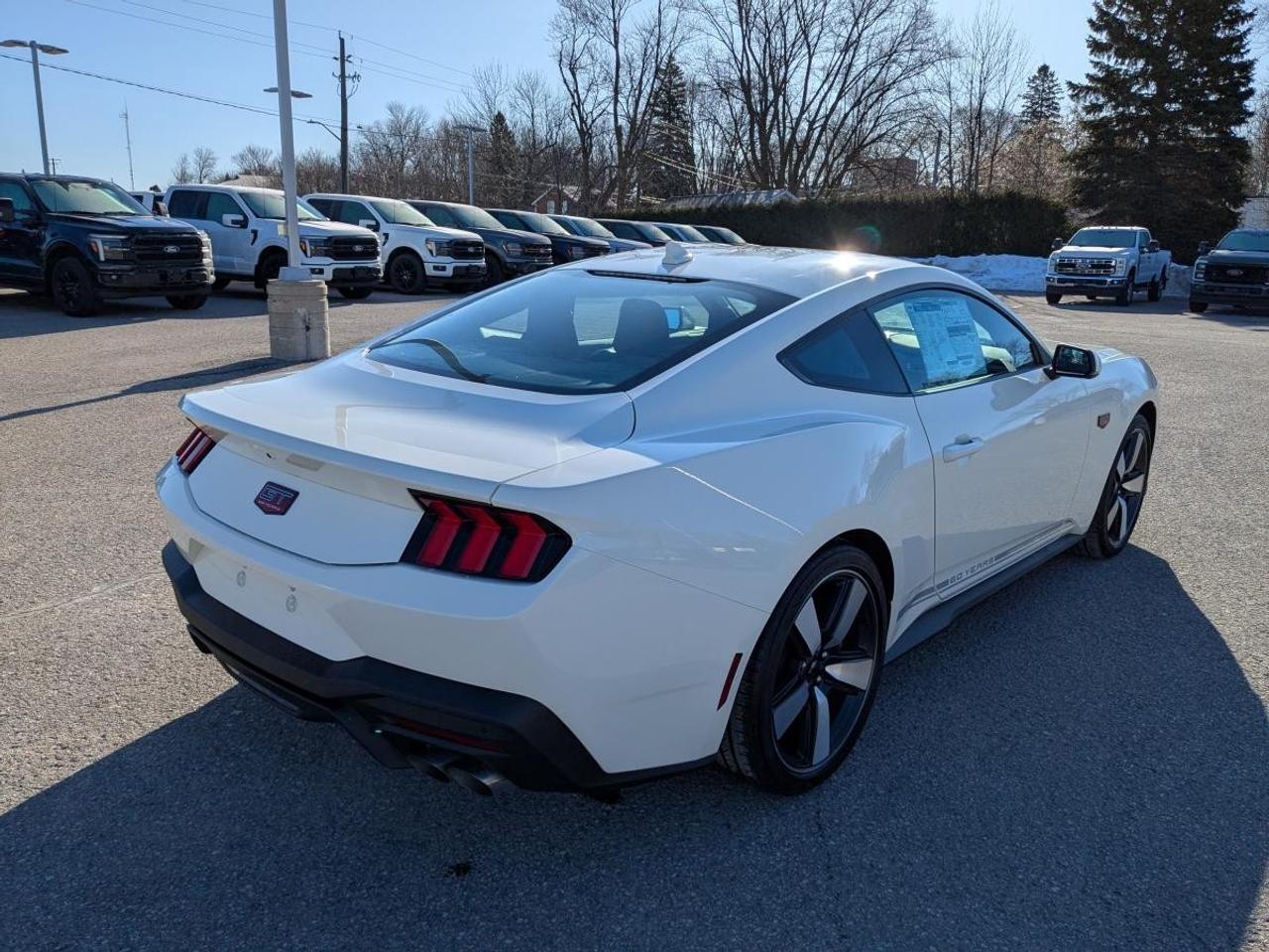 2025 Ford Mustang  Photo
