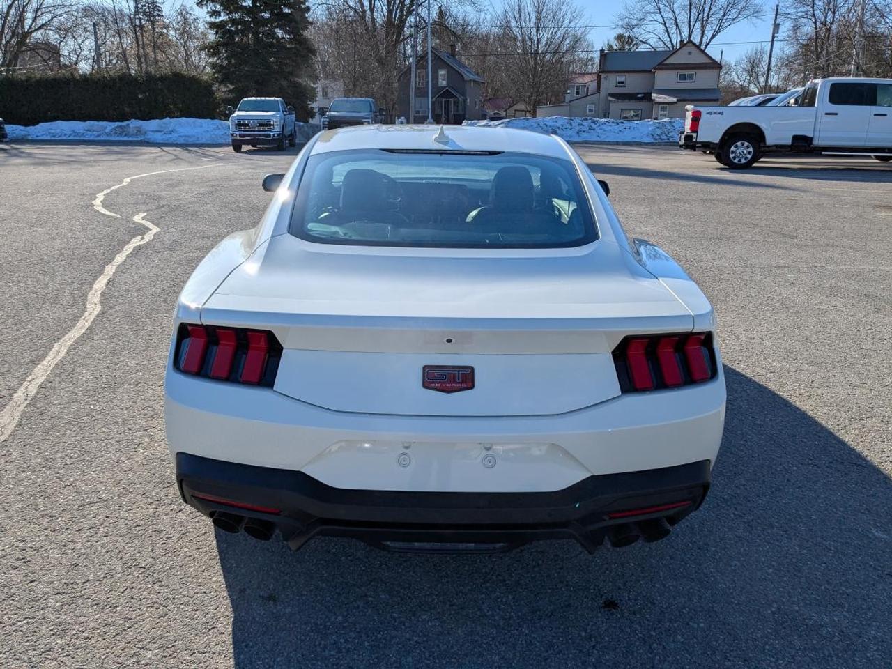 2025 Ford Mustang  Photo