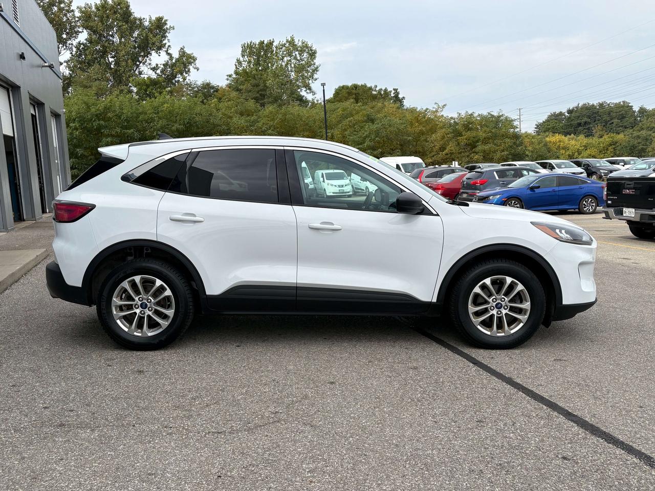 2022 Ford Escape SE AWD   Clean Carfax Photo