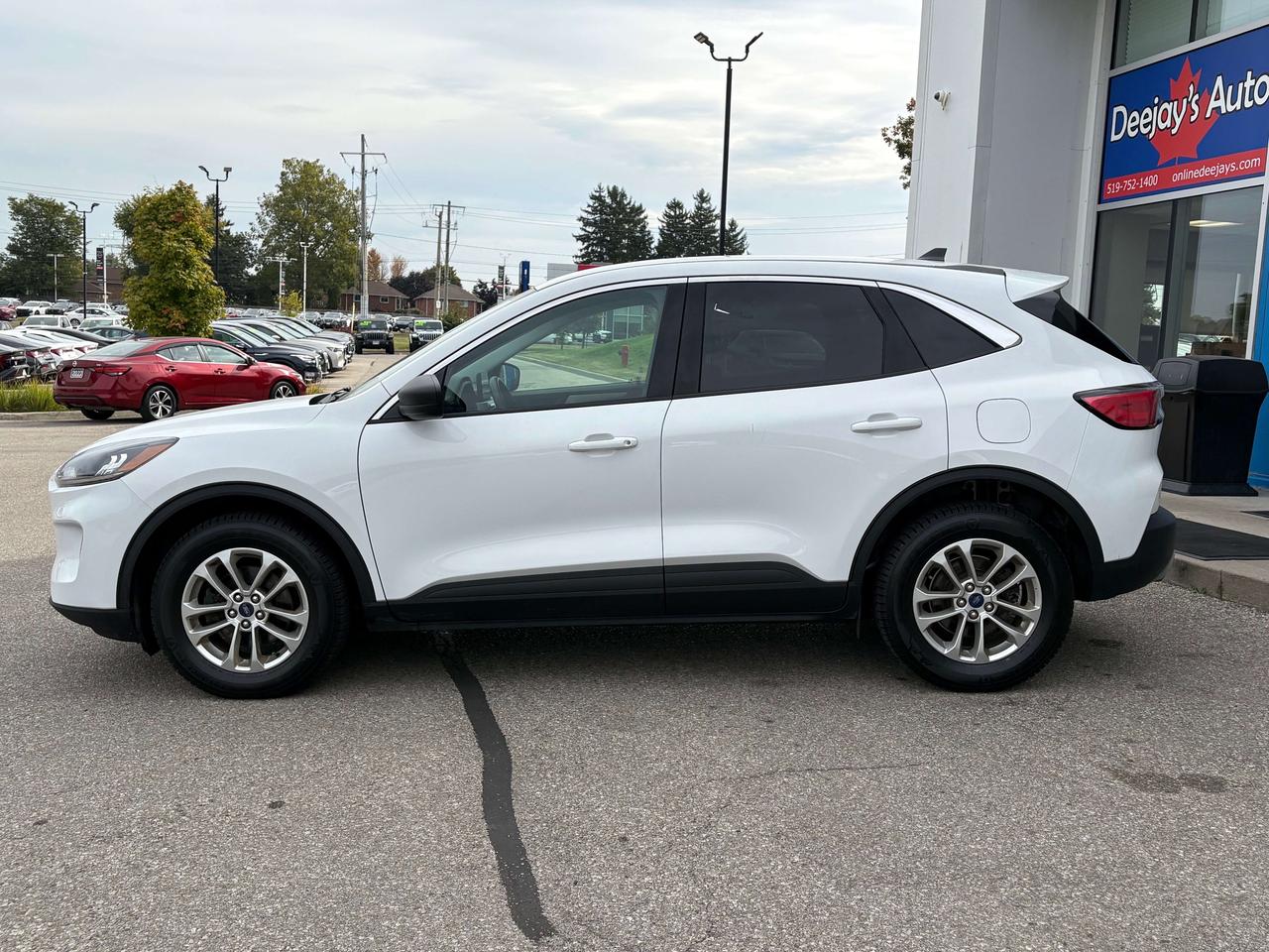 2022 Ford Escape SE AWD   Clean Carfax Photo
