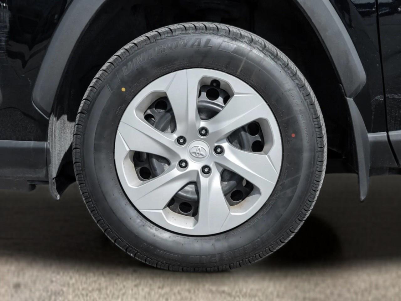 2025 Toyota RAV4 LE AWD Photo3