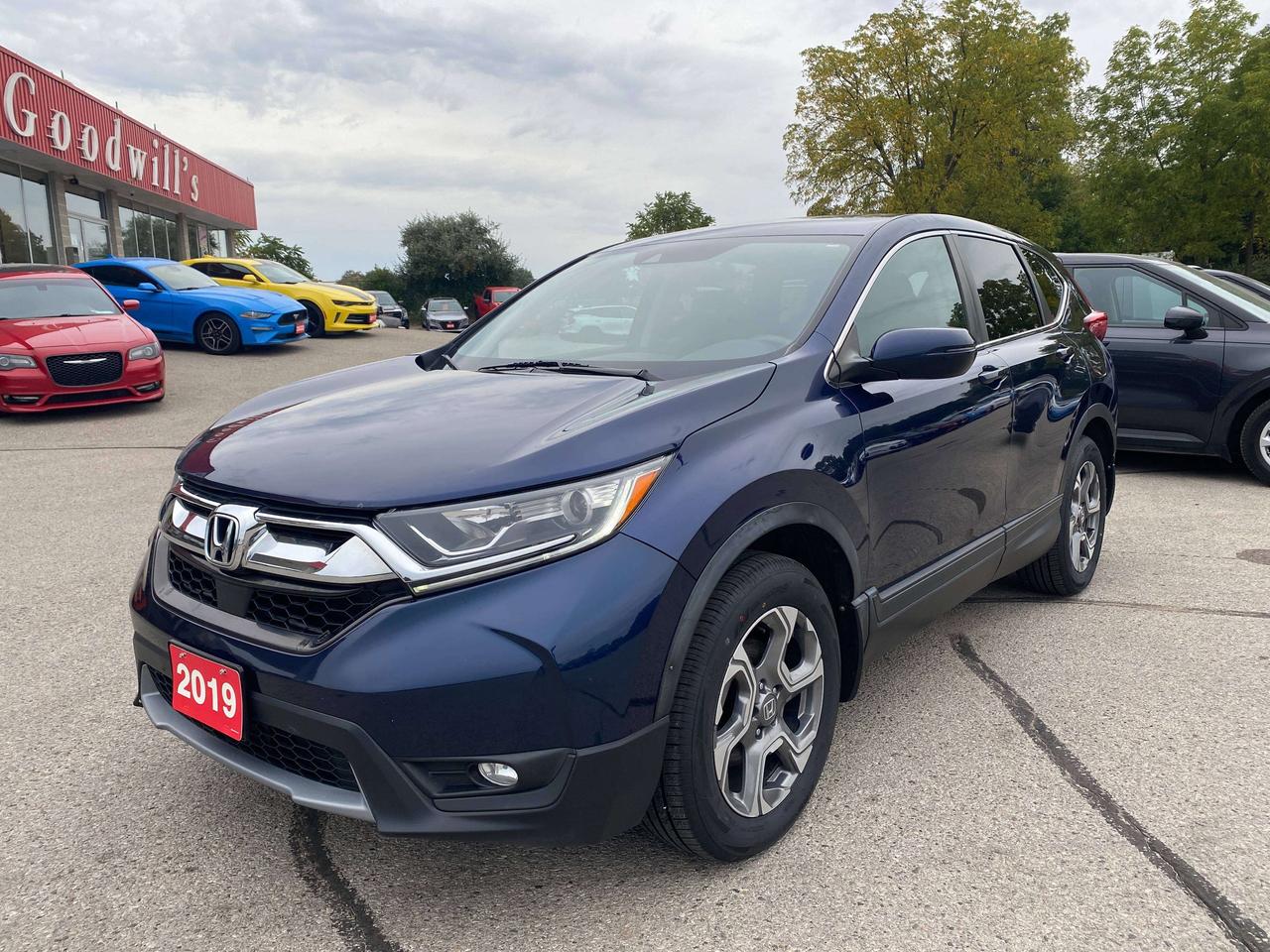 2019 Honda CR-V EX, SUNROOF, REMOTE START, HEATED CLOTH! Photo3