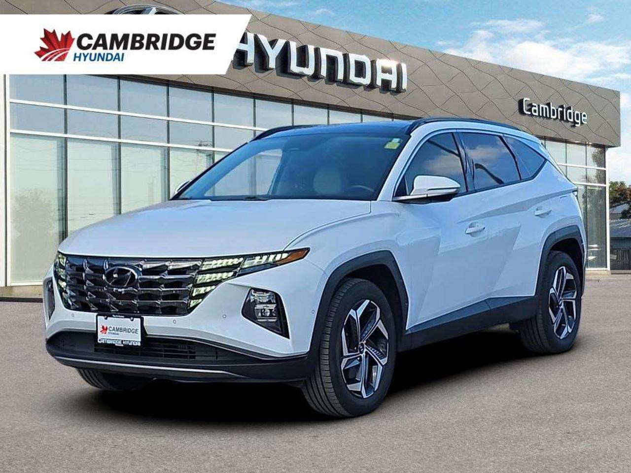 2024 Hyundai Tucson Ultimate   VENT. LEATHER BOSE P.ROOF 6.6L/100KM Photo