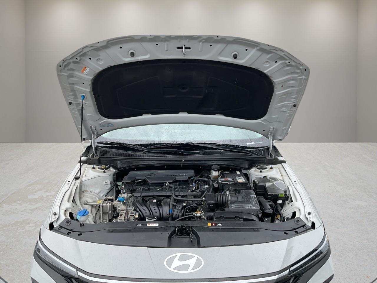 2025 Hyundai Elantra  Photo