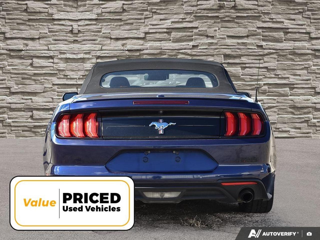 2020 Ford Mustang  Photo
