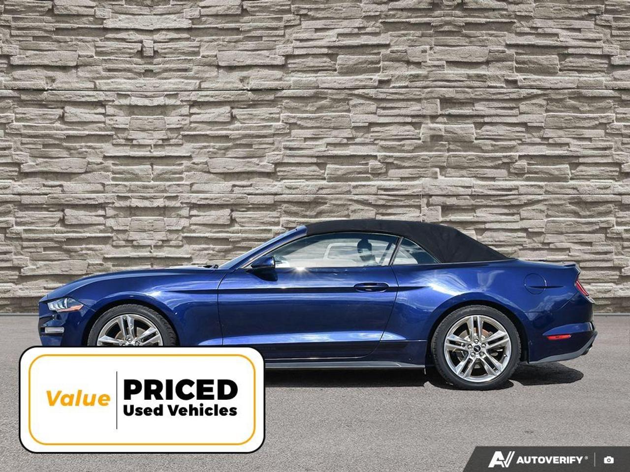 2020 Ford Mustang  Photo