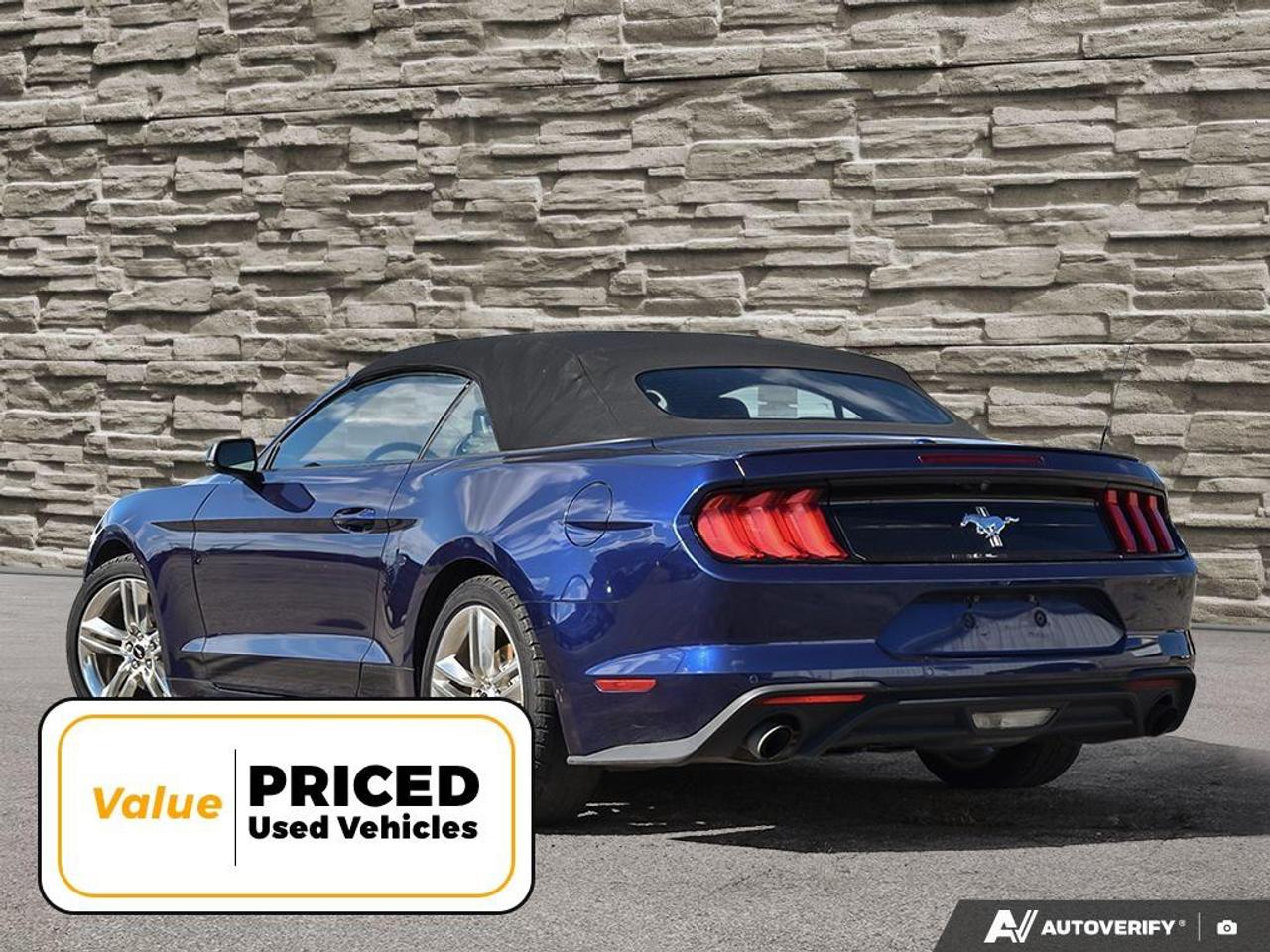 2020 Ford Mustang  Photo