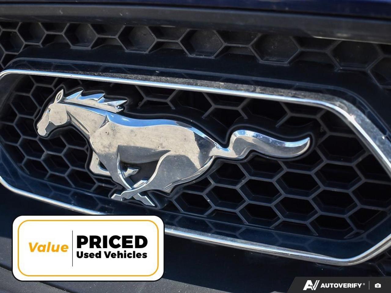 2020 Ford Mustang  Photo