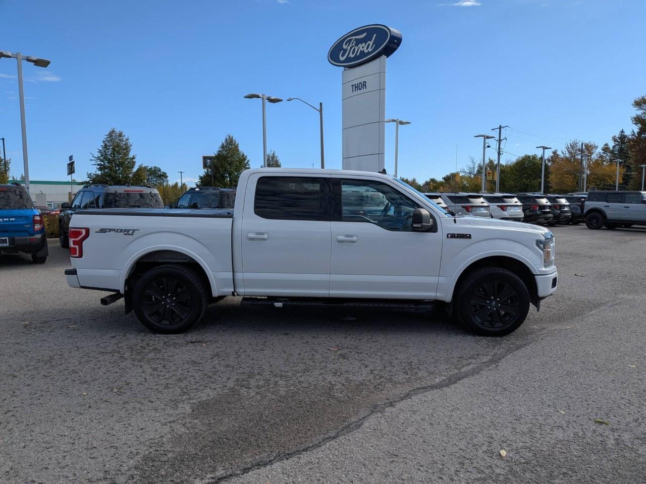 2019 Ford F-150  Photo