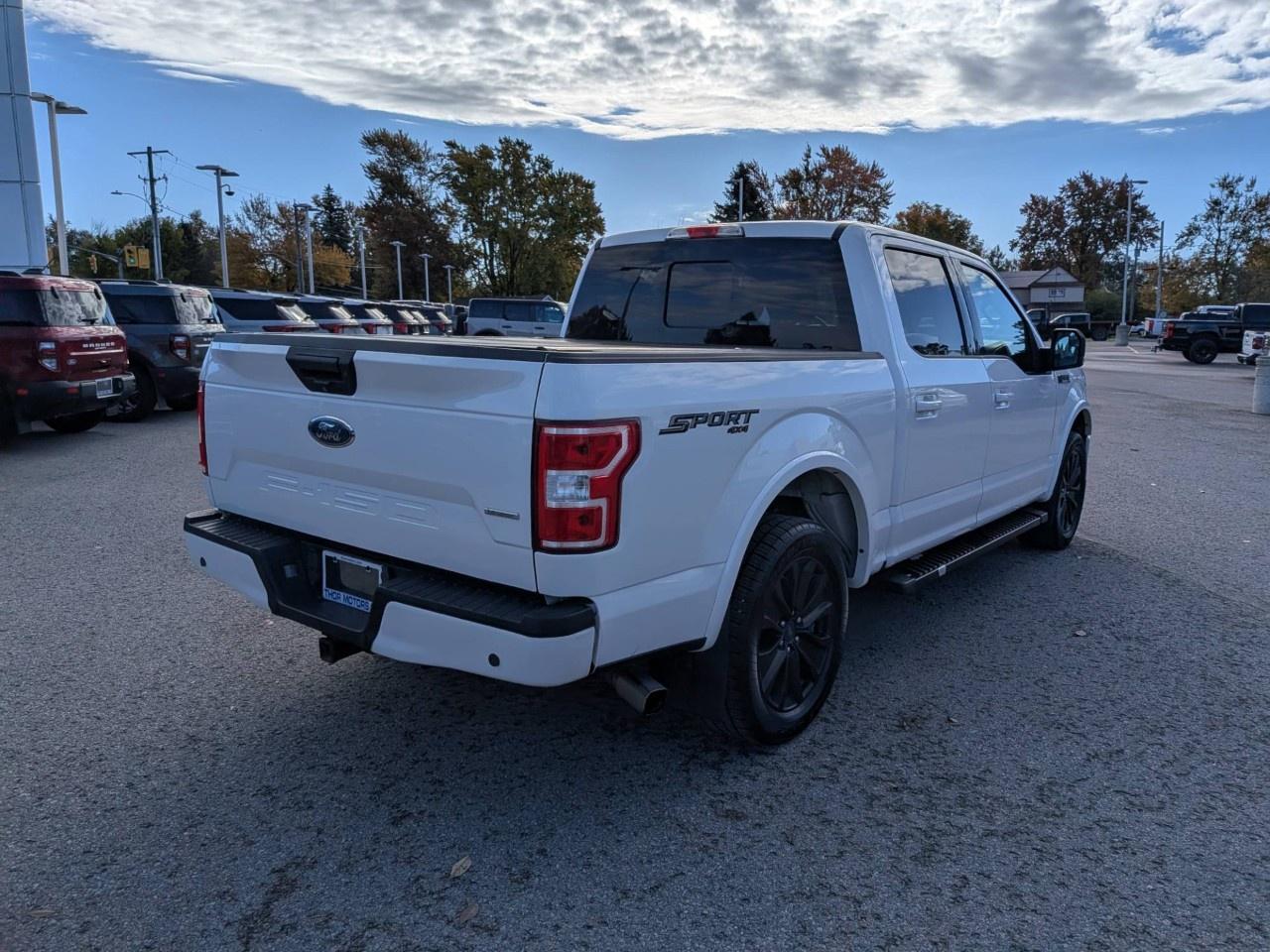 2019 Ford F-150  Photo