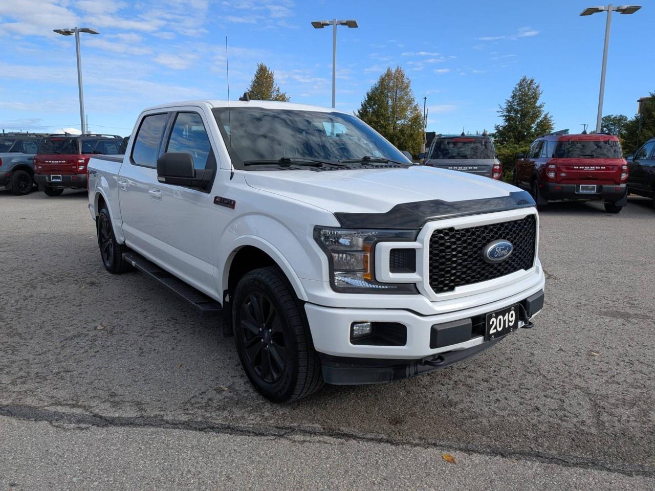 2019 Ford F-150  Photo2