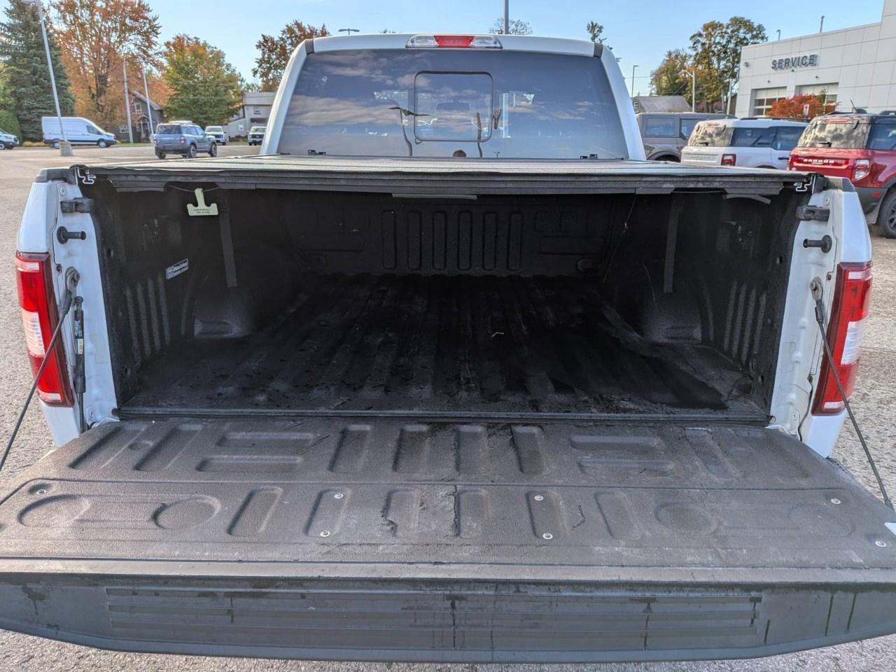 2019 Ford F-150  Photo