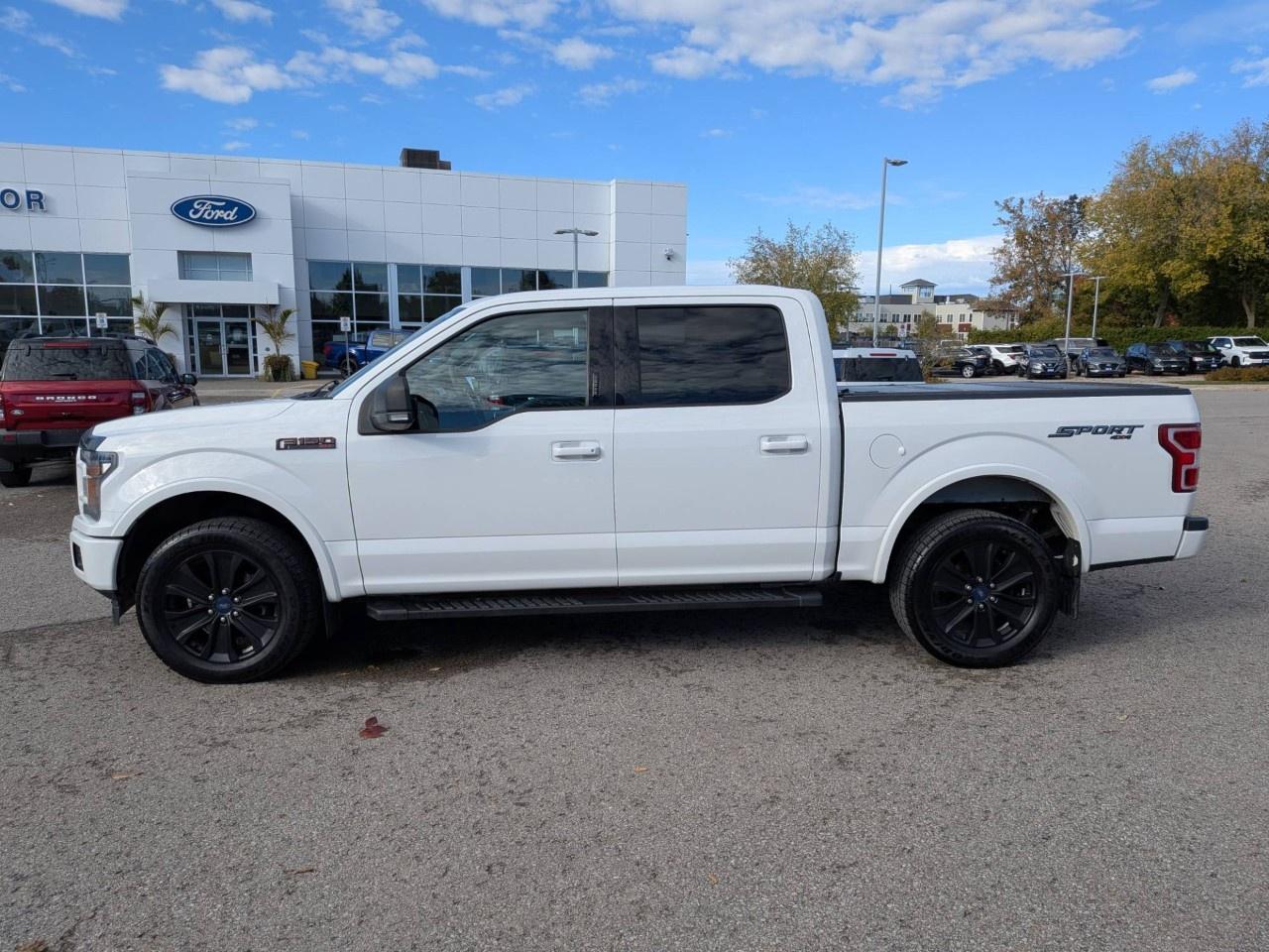 2019 Ford F-150  Photo