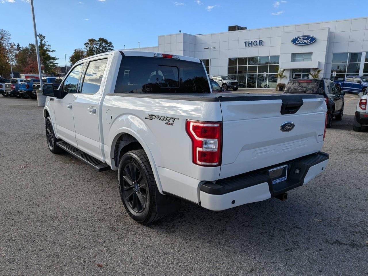 2019 Ford F-150  Photo