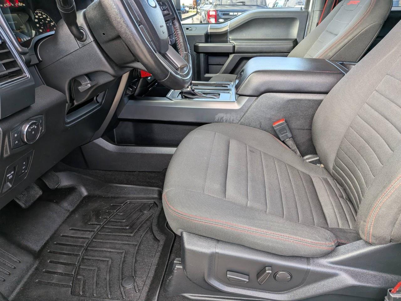 2019 Ford F-150  Photo