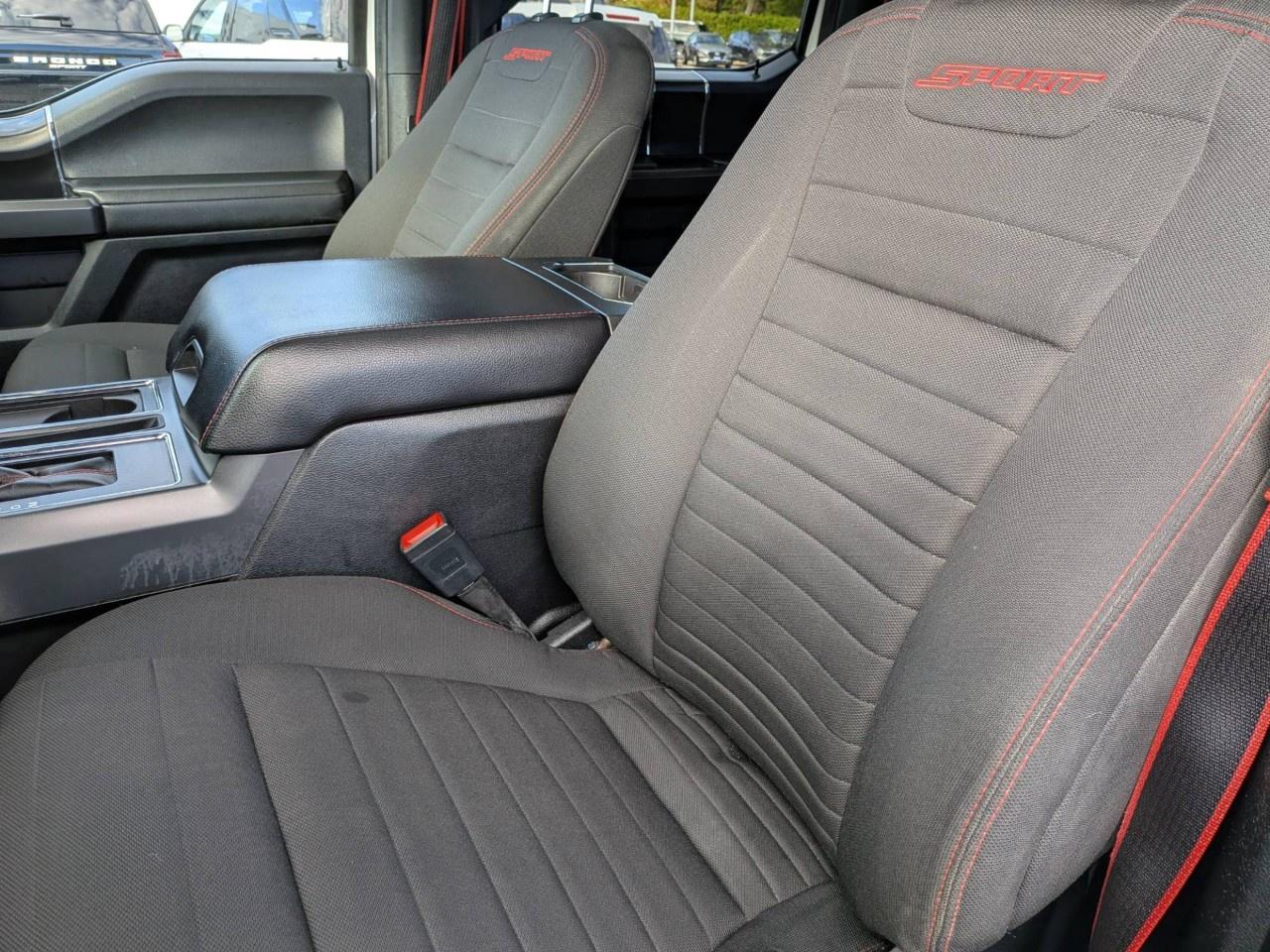 2019 Ford F-150  Photo
