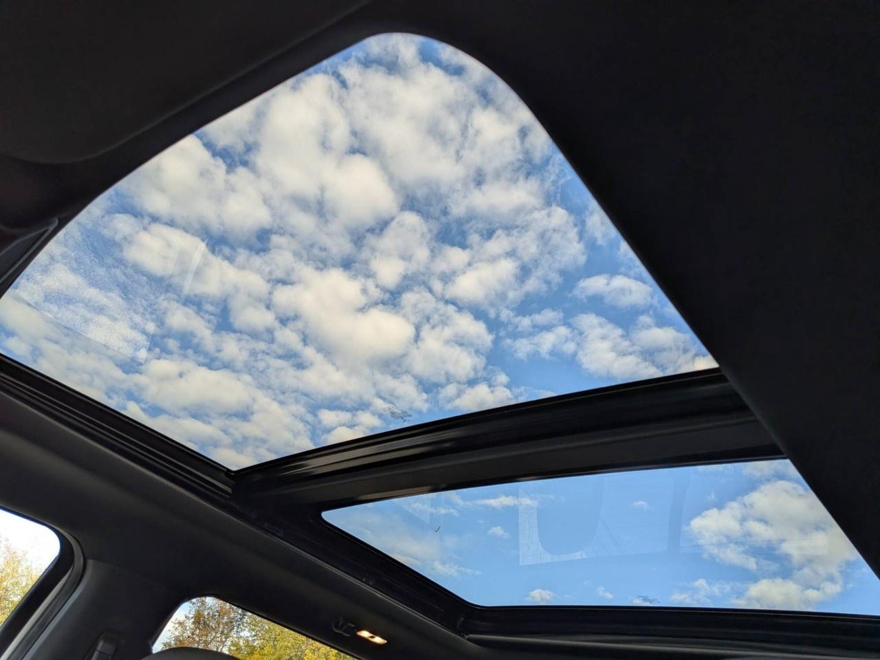 2019 Ford F-150  Photo