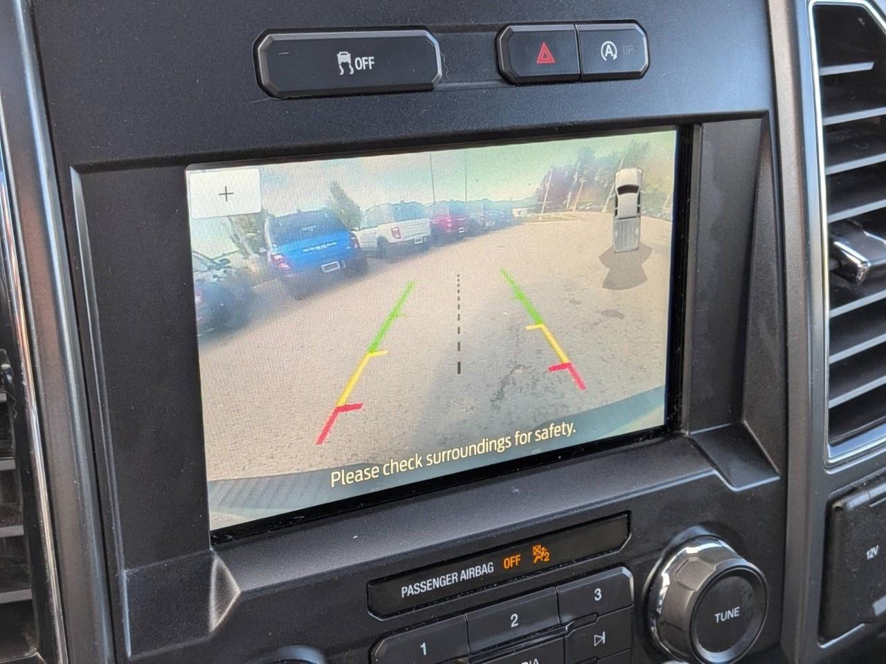 2019 Ford F-150  Photo