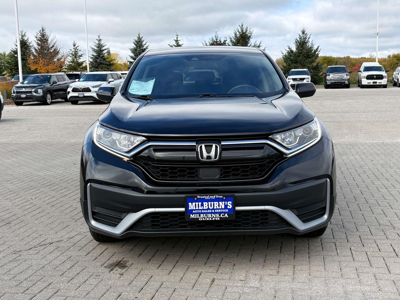 2021 Honda CR-V LX FWD   Heated Seats   Apple CarPlay/Android Auto Photo1