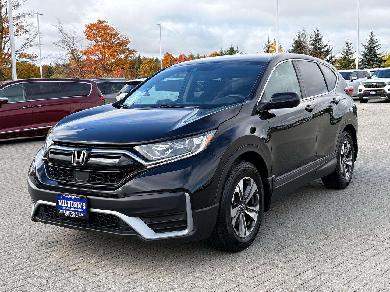 2021 Honda CR-V LX FWD   Heated Seats   Apple CarPlay/Android Auto Photo2