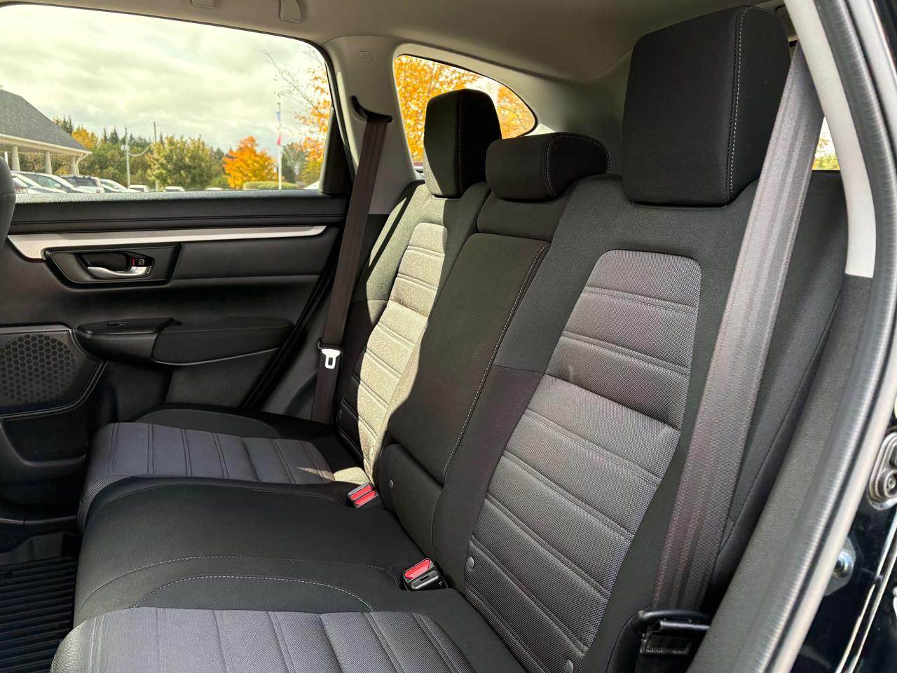 2021 Honda CR-V LX FWD   Heated Seats   Apple CarPlay/Android Auto Photo
