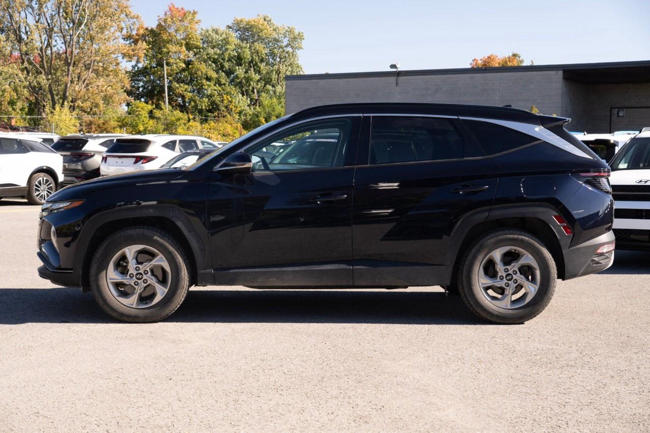 2023 Hyundai Tucson PREFERRED AWD W/TREND PACKAGE Photo