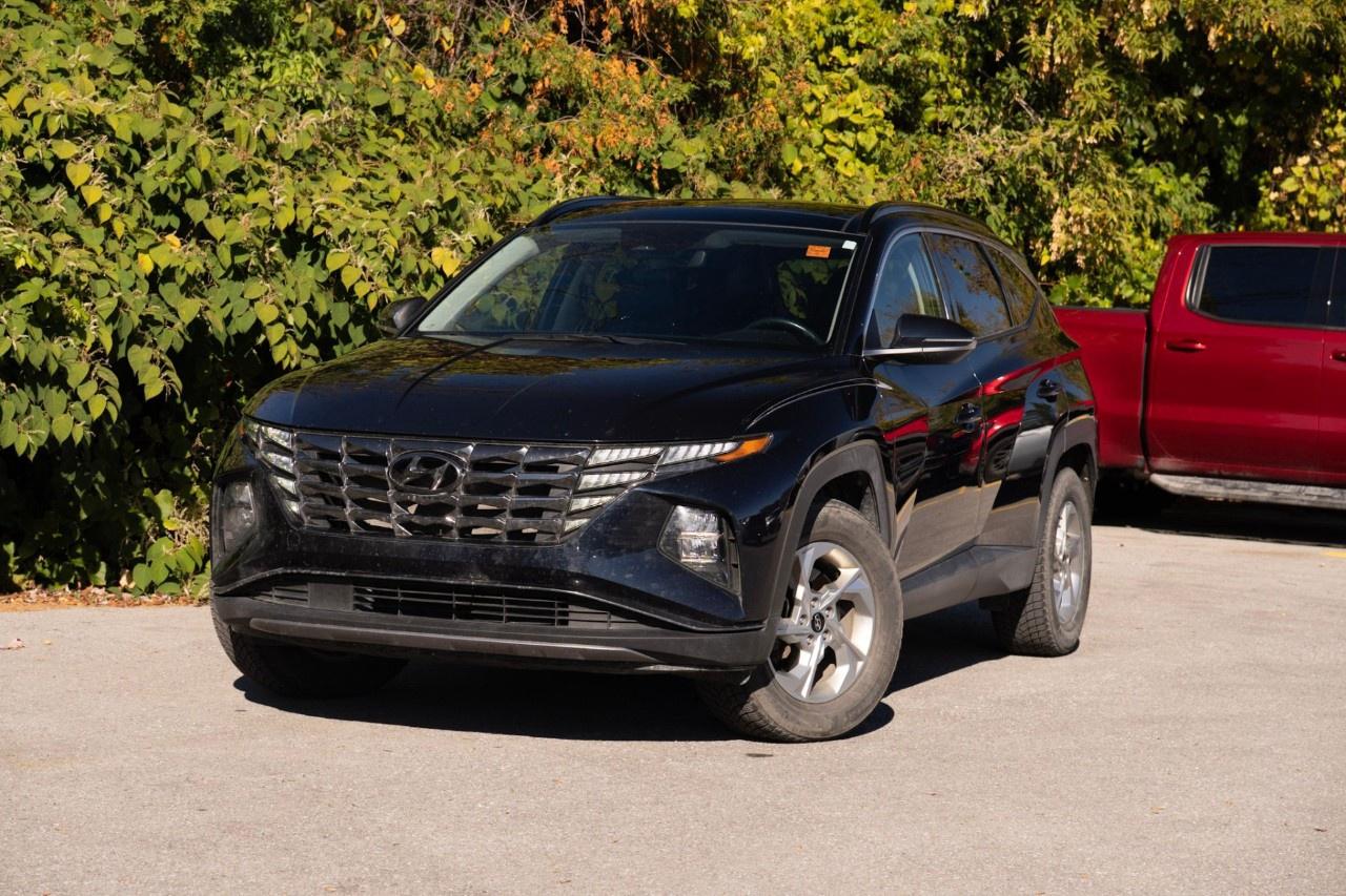 2023 Hyundai Tucson PREFERRED AWD W/TREND PACKAGE Photo